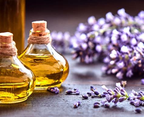 The Magical Benefits of Lavender in Aromatherapy and Relaxation